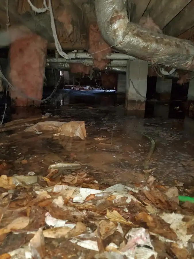 Crawl space flood assessment for Commercial Water Damage Restoration in Gulf Shores