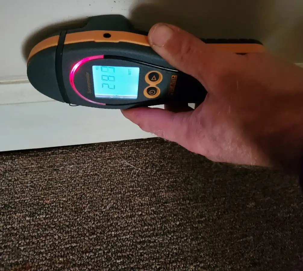 Moisture detection at baseboard during Mold Inspection & Testing in Gulf Shores